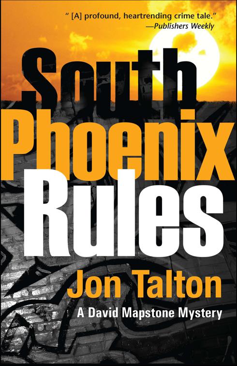 South Phoenix Rules, David Mapstone Mysteries