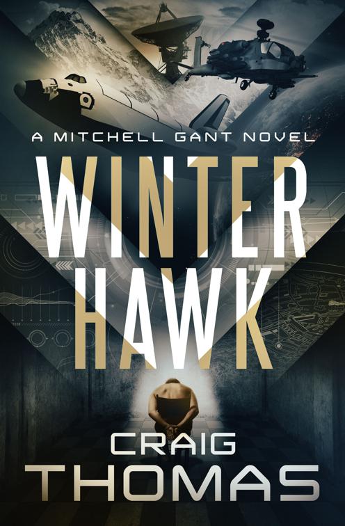 Winter Hawk, The Mitchell Gant Series