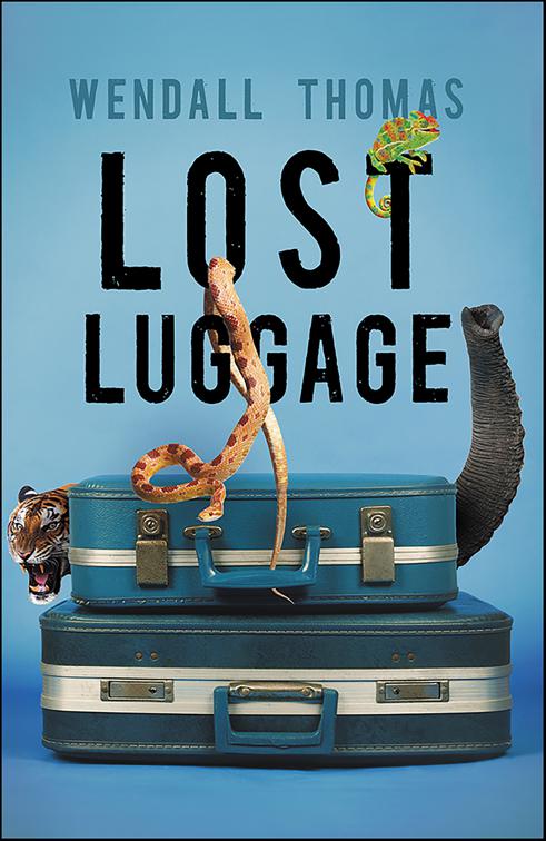 Lost Luggage, Cyd Redondo Mysteries