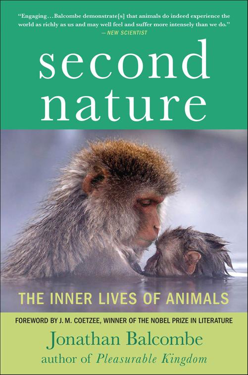 Second Nature, MacSci