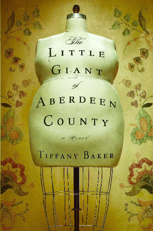 Little Giant of Aberdeen County