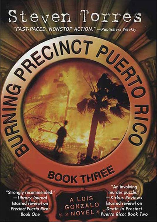 Burning Precinct Puerto Rico, Luis Gonzalo Novels