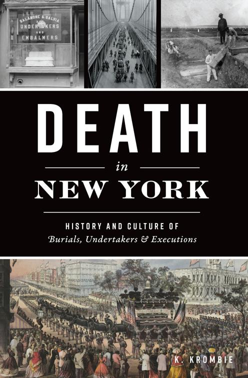 This image is the cover for the book Death in New York