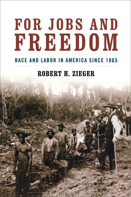 For Jobs and Freedom, Civil Rights and the Struggle for Black Equality in the Twentieth Century