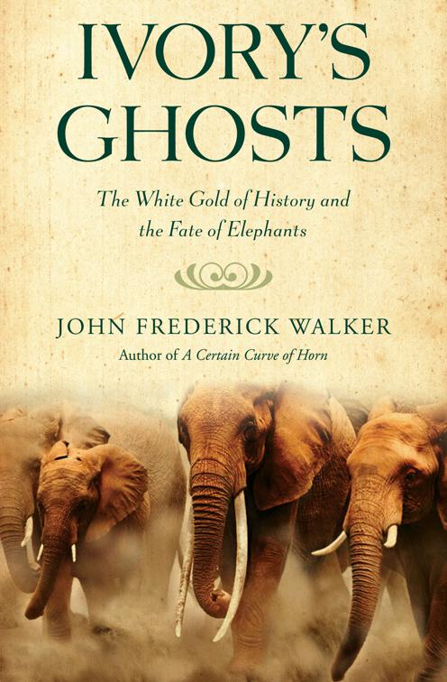 Ivory&#x27;s Ghosts