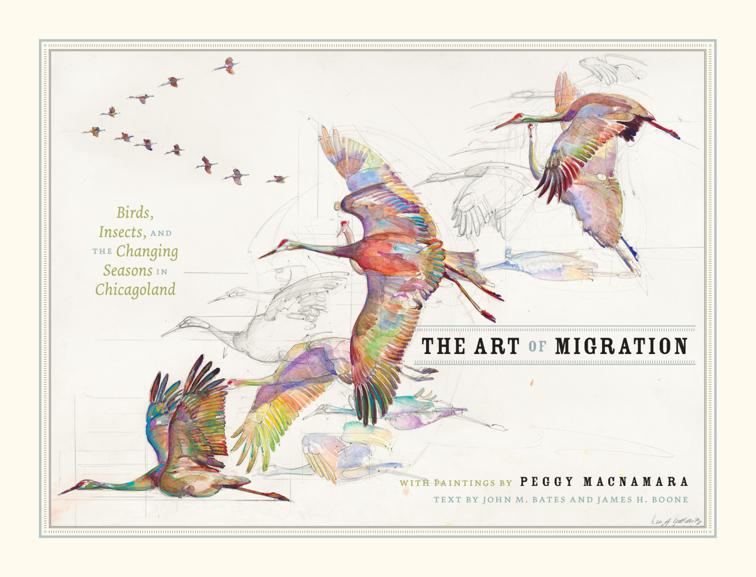 Art of Migration