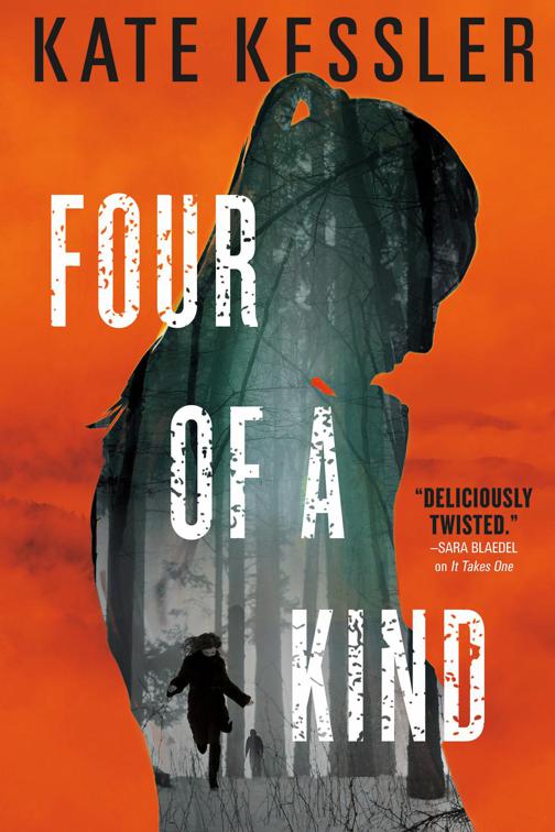 Four of a Kind, The Audrey Harte Novels