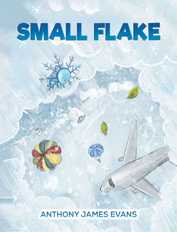 This image is the cover for the book Small Flake