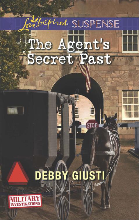 Agent&#x27;s Secret Past, Military Investigations