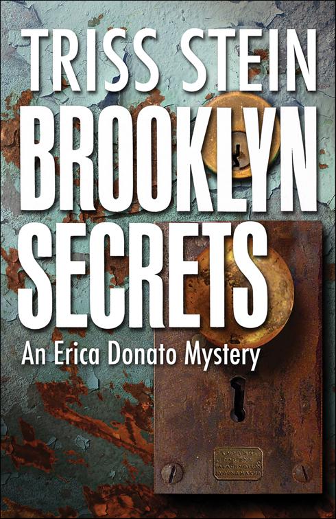 Brooklyn Secrets, Erica Donato Mysteries