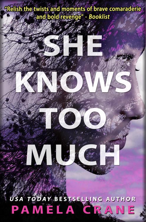 She Knows Too Much, If Only She Knew Mystery Series