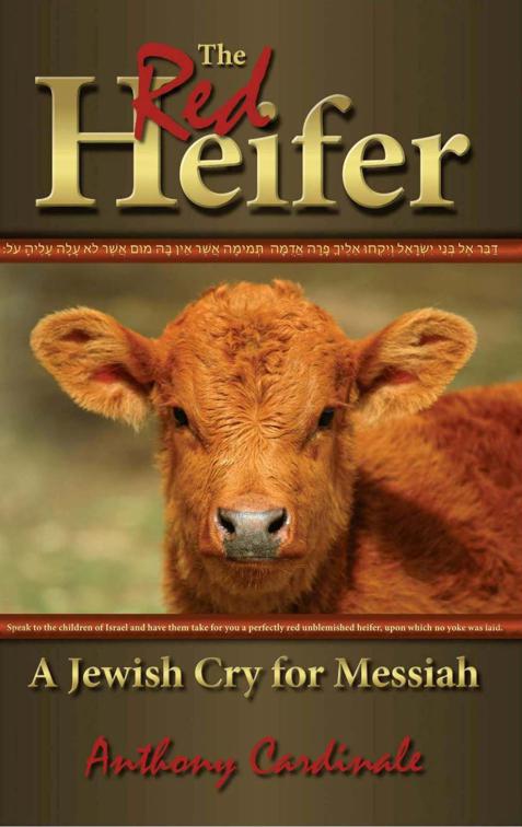 This image is the cover for the book The Red Heifer