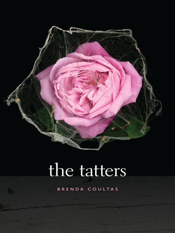 Tatters, Wesleyan Poetry Series