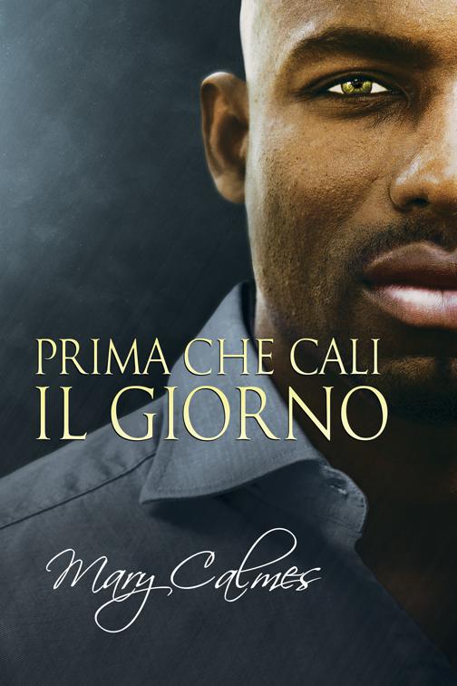 Prima che cali il giorno, La Volta