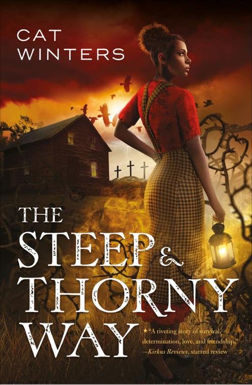 Steep &amp; Thorny Way