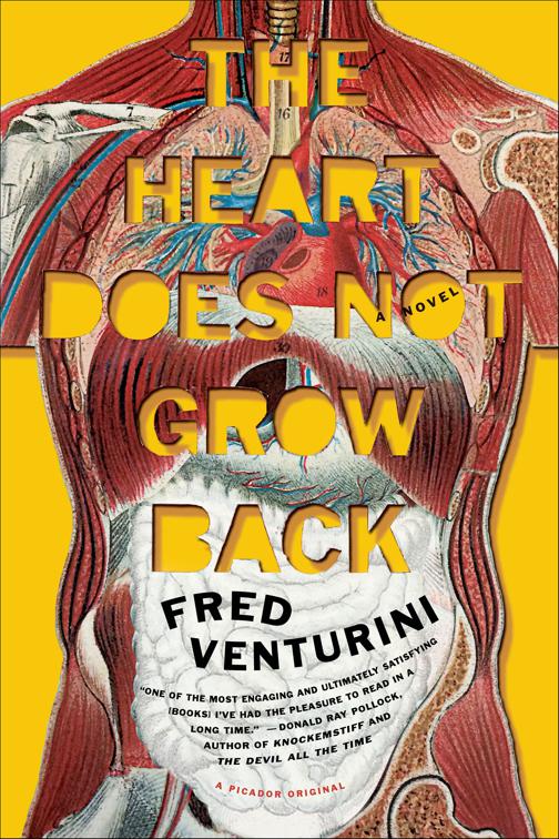 Heart Does Not Grow Back