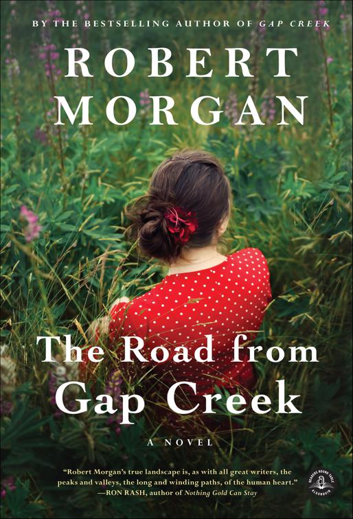 Road from Gap Creek