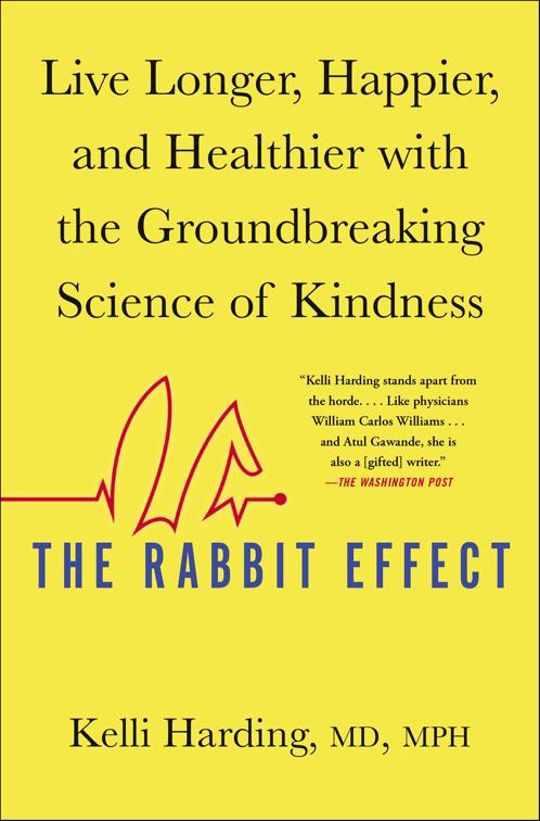 Rabbit Effect
