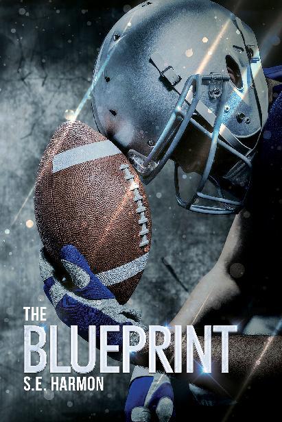 This image is the cover for the book The Blueprint, Rules of Possession