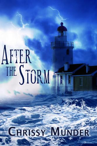 This image is the cover for the book After the Storm