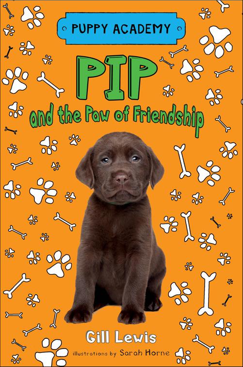 Pip and the Paw of Friendship, Puppy Academy