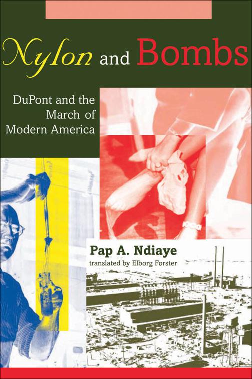 Nylon and Bombs, Studies in Industry and Society