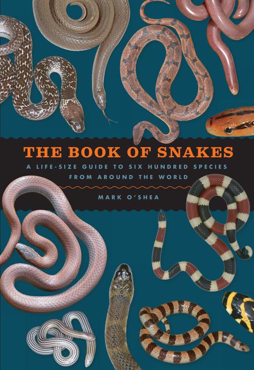 Book of Snakes