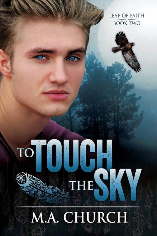 This image is the cover for the book To Touch the Sky, Leap of Faith