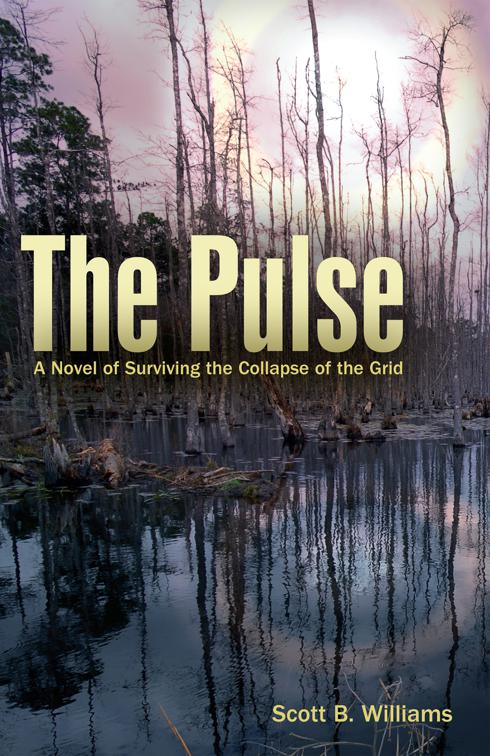 Pulse, The Pulse Series