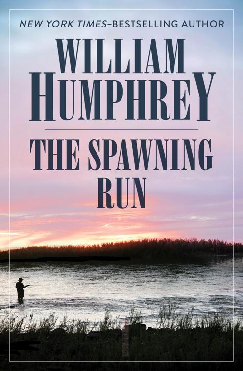 Spawning Run