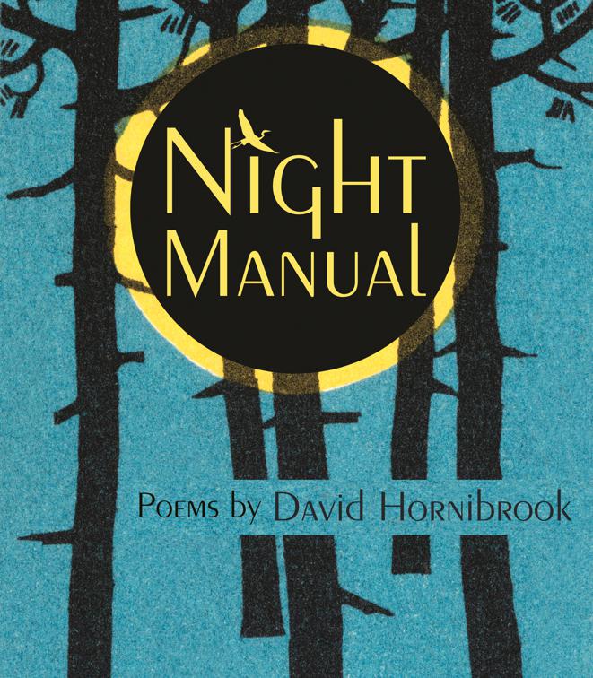 Night Manual, Made in Michigan Writers Series